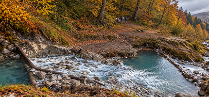 تور جنگل بلیران